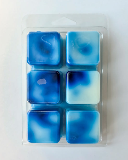 Pictures in the Bluebonnets Wax Melt - LARGE (5 oz)