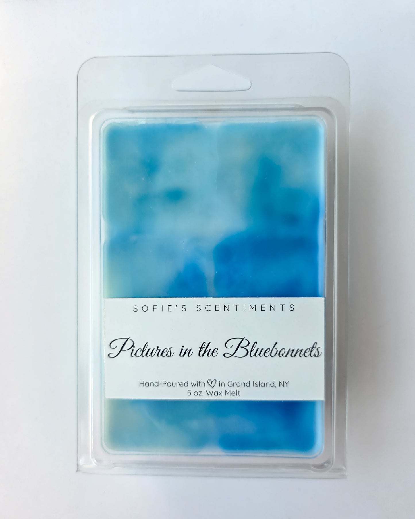 Pictures in the Bluebonnets Wax Melt - LARGE (5 oz)