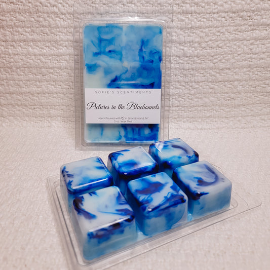 Pictures in the Bluebonnets Wax Melt - LARGE (5 oz)