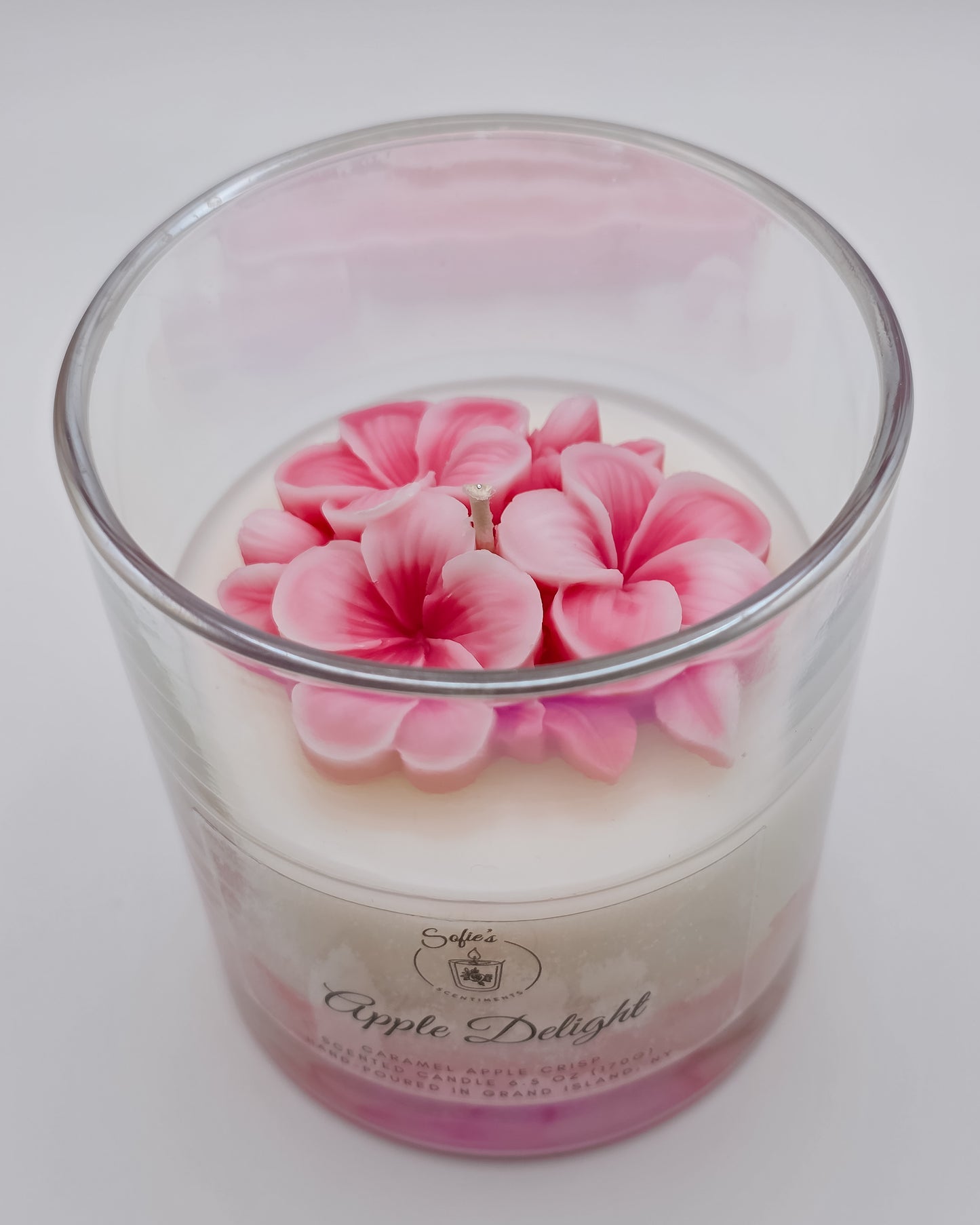 Apple Delight – 6.5 oz Fall Candle | Caramel Apple Crisp, Maple Sugar & Vanilla